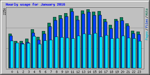 Hourly usage for January 2016